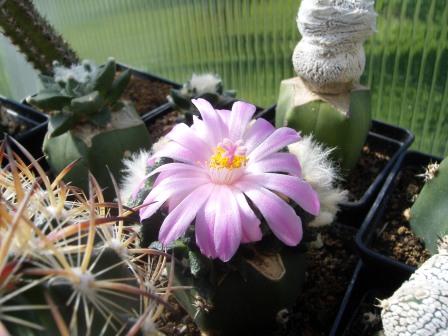 DSCF0173