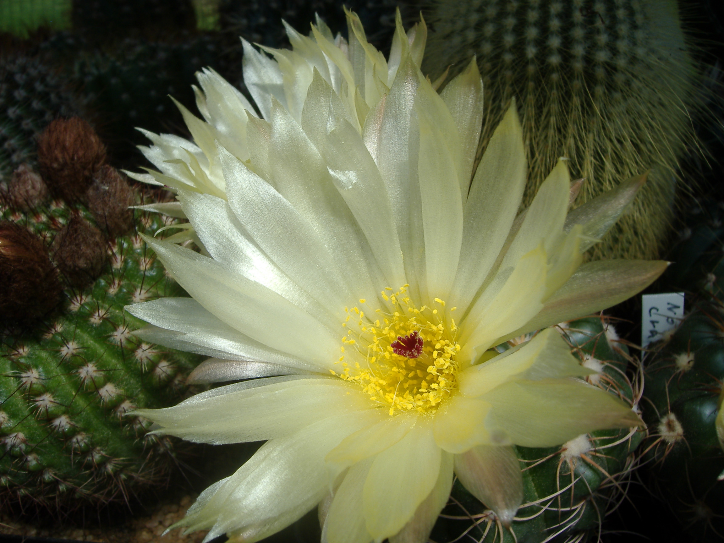DSCF0346