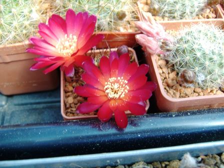 DSCF0341