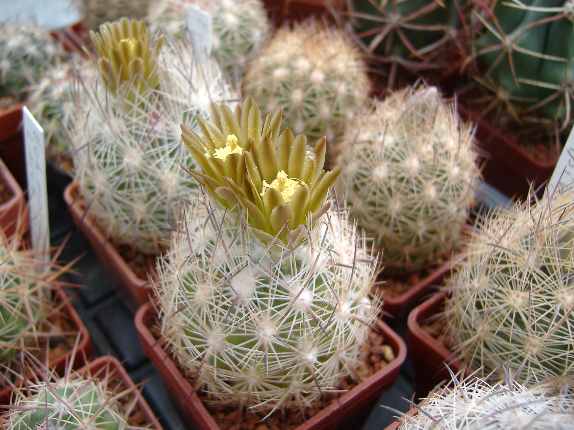 DSCF0033