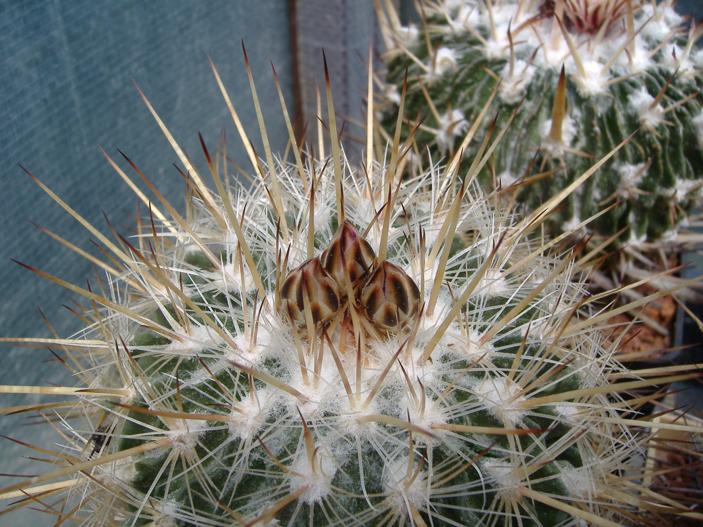 DSCF0080