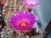 DSCF0158