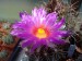 DSCF0283