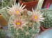 DSCF0255