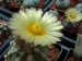 DSCF0342