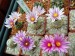 DSCF0188
