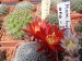 DSCF0260