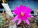 DSCF0039