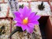 DSCF0075