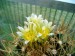 DSCF0048