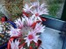 DSCF0165