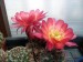 DSCF0301