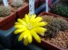 DSCF0317
