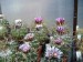 DSCF0324
