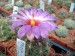 DSCF0051