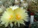 DSCF0069