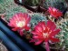 DSCF0107