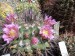 DSCF0237